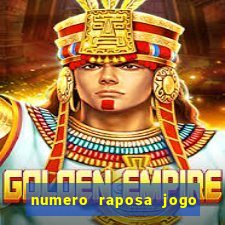 numero raposa jogo do bicho